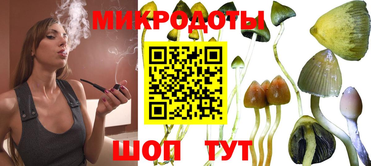 Псилоцибиновые грибы ЛСД  Псилоцибиновые грибы ЛСД  Вход с VPN  Евпатория 